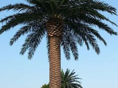 方特梦幻王国-厦门方特梦幻王国