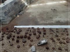 -元代水闸遗址博物馆