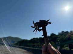 -滴水湖