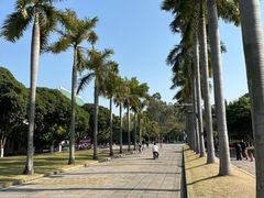 -厦门大学(思明校区)