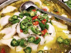 腾椒鱼-滋味成都