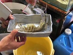 -大树下海鲜饭店