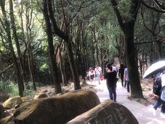 -火炉山森林公园