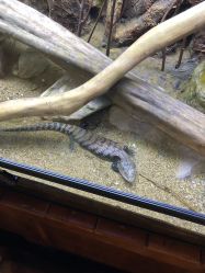 -酷嗒动物文化乐园(cutezoo西溪乐天城店)