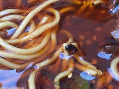 -胡桃里音乐酒馆(曲江店)