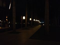 -三亚亚龙湾红树林度假酒店