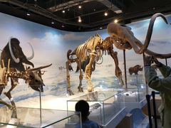 -辽宁古生物博物馆