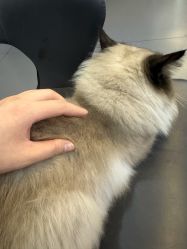 -CIT造型·烫发·染发