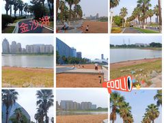 -金沙湖公园