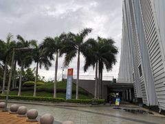 -奥林匹克体育中心游泳馆