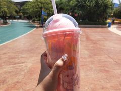 -厦门方特梦幻王国