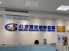 -北京观赏动物医院·24小时大型综合·猫专科·异宠专科