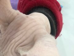 -糯米喵星人·撸猫猫舍咖啡馆(西市场嘉华店)