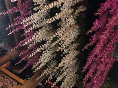 -滇池印象原生态火锅(南开大悦城店)