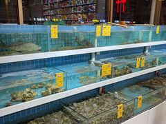 水产区-双海酒店·海鲜家常菜(南戴河店)