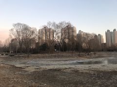 -望湖公园
