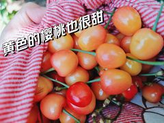 -樱桃沟景区