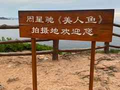 -杨梅坑