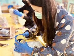 -杨梅红艺术教育(西安高新唐延教学中心)