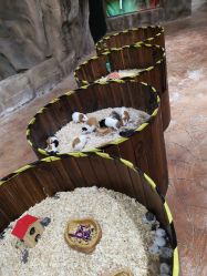 -宝燕乐园(闵行旗舰店)