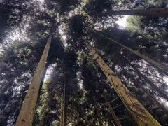 -太阳湾风景区