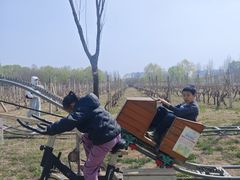 -圣露庄园·露营·烤肉·亲子