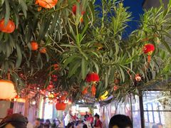 -福苗小骆驼烧烤(莲湖路店)