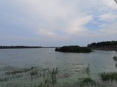 -合肥滨湖国家森林公园