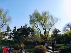 -西安青龙寺遗址景区