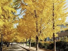 -西北农林科技大学(北校区)