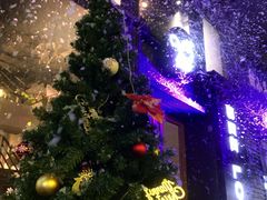 -JollyBee’s Craft Nest乐蜂精酿