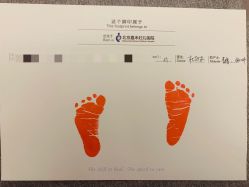 -北京嘉禾医疗