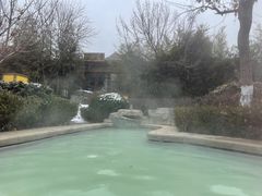 -大连金石滩绿发温泉假日酒店