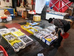 -芦潮港集贸市场