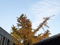 -龙潭水乡