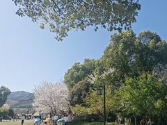 -径山花海