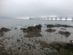 -星海湾跨海大桥