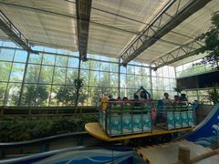 -南宫五洲植物乐园