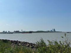 -上海滨江森林公园