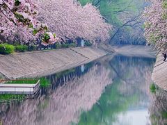 -海棠花溪(元大都城垣遗址公园)