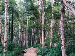 -白草畔自然风景区