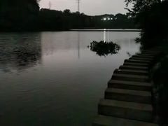 -重庆彩云湖湿地公园