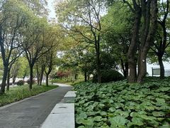 -钱塘江