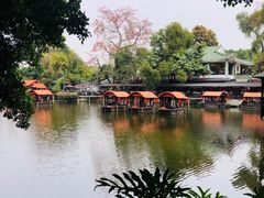 -侨美·唐荔园·40年地道粤菜