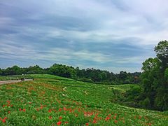 -保利石象湖景区