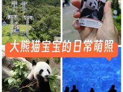 -香港海洋公园