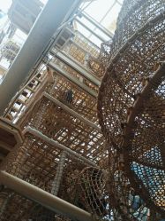 点击看大图 -PIPIKINGDOM皮皮王国欢乐号(欢乐海岸购物中心店)