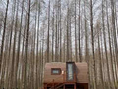 -黄海国家森林公园