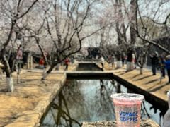 -春风习习
