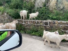 -白草畔自然风景区